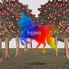 default album img