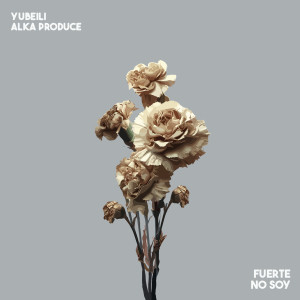 ดาวน์โหลดและฟังเพลง Fuerte No Soy พร้อมเนื้อเพลงจาก Yubeili