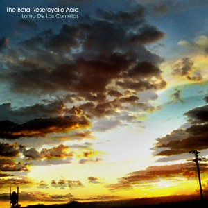 ดาวน์โหลดและฟังเพลง Live Fast พร้อมเนื้อเพลงจาก The Beta-Resercyclic Acid