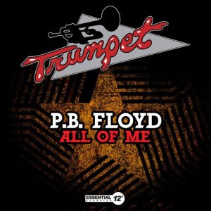 ดาวน์โหลดและฟังเพลง All of Me (Instrumental) พร้อมเนื้อเพลงจาก P.B. Floyd