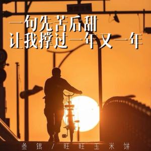 Album 一句先苦后甜让我撑过一年又一年 from 叁银