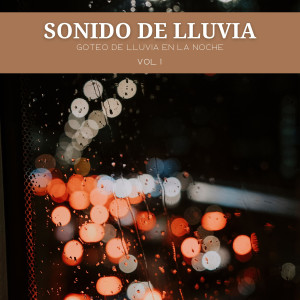 Ruido Astral的專輯Sonido De Lluvia: Goteo De Lluvia En La Noche Vol. 1
