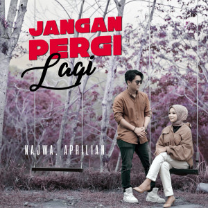 Dengarkan Jangan Pergi Lagi lagu dari Najwa dengan lirik