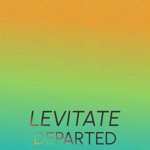 Various的专辑Levitate Departed