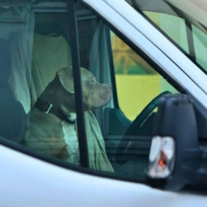 收聽MZA的Spun (Explicit)歌詞歌曲