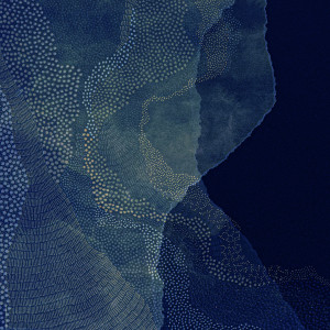 Album Foetal Heart from Hior Chronik