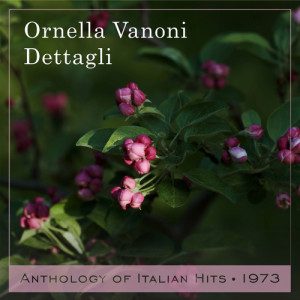 Ornella Vanoni的專輯Dettagli