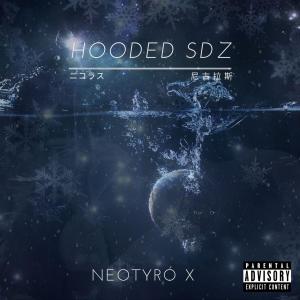 Listen to Robin Hood (Explicit) song with lyrics from Neotyró X