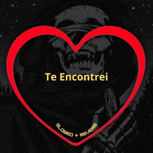 Listen to Te Encontrei (Slowed + Reverb|Explicit) song with lyrics from Love Fluxos