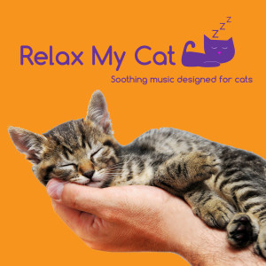 ดาวน์โหลดและฟังเพลง Peaceful Piano พร้อมเนื้อเพลงจาก RelaxMyCat