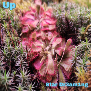 Listen to Star Dr3am1ng song with lyrics from 飞屋环游记