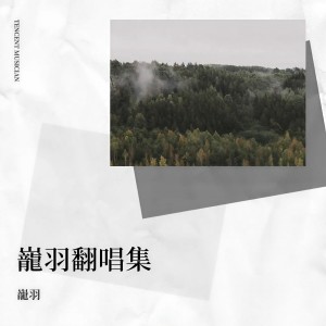 收听龍羽的心痛酒作陪 (cover: 杜朝乾|薇薇) (完整版)歌词歌曲