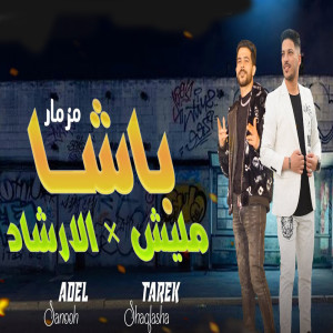 Listen to مزمار باشا مليش فى الارشاد (Live) song with lyrics from Tareq Shalasha