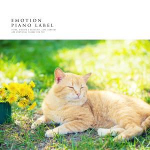 Listen to Low Hill song with lyrics from Harmonious