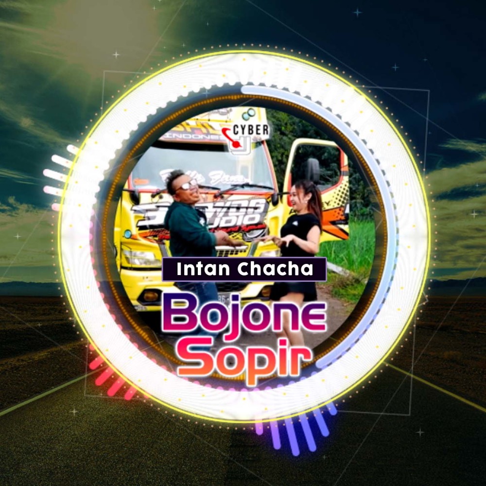 Bojone Sopir (Remix)