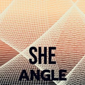 Album She Angle from Various