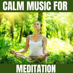 收听Sleep的Mental Relaxation歌词歌曲