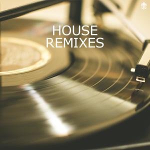 Various Artists的專輯House Remixes