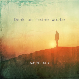 Listen to Denk an Meine Worte song with lyrics from PæT