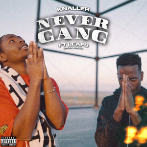 Album Never Gang (feat. Leafs) (Explicit) from Knaller