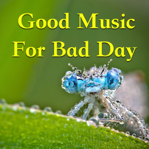 ดาวน์โหลดและฟังเพลง Virginia On A Saturday Night พร้อมเนื้อเพลงจาก Bob Eaton & His Lone Star Boys