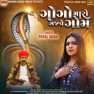 收听Payal Shah的Gogo Maro Gajve Gom歌词歌曲
