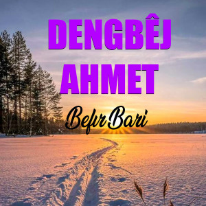 Dengbej ahmet的專輯Befır Bari