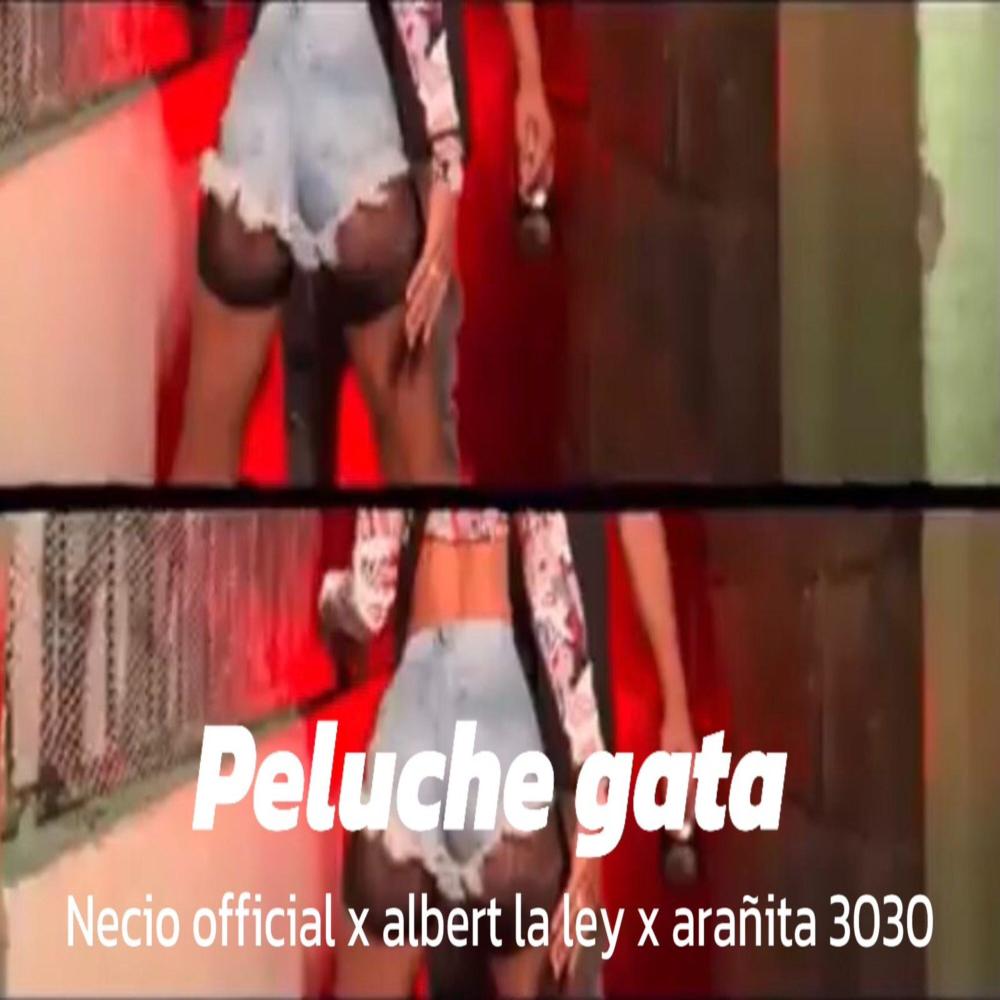 Peluche gata (feat. Necio official, Albert la ley & Arañita 3030) (Explicit)