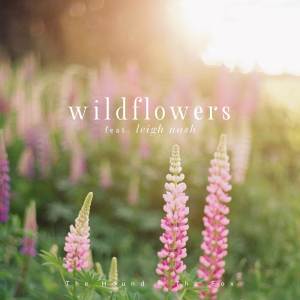 Album Wildflowers from The Hound + The Fox