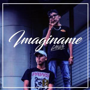 Listen to Imaginame song with lyrics from Canes