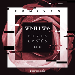 ดาวน์โหลดและฟังเพลง Never Loved Me (Col3man Extended Remix) พร้อมเนื้อเพลงจาก Wish I Was