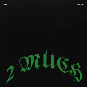 收聽T$an的2 MUCH (feat. Matt Ox) (Explicit)歌詞歌曲