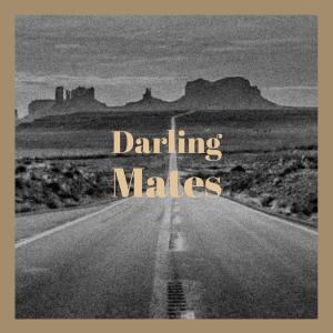 收听Dipa Keit的Welfare Blotto歌词歌曲