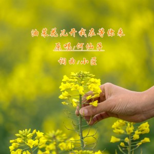 Dengarkan lagu 油菜花儿开我在等你来 (完整版) nyanyian 何仙子 dengan lirik