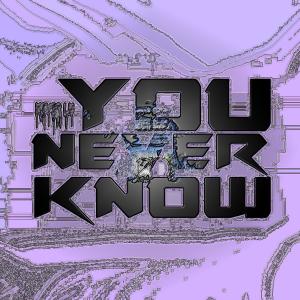 NeverLu的專輯You Never Know