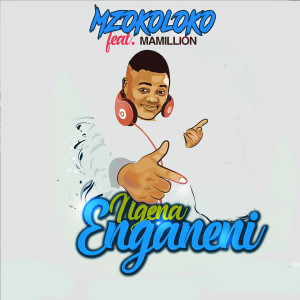 Album Ngena Enganeni from Mzokoloko