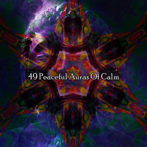 อัลบัม 49 Peaceful Auras Of Calm ศิลปิน Internal Yoga Music