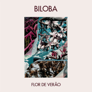 收聽Biloba的Flor de Verão歌詞歌曲