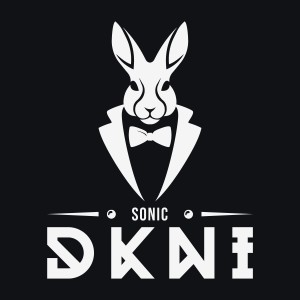 收聽DKNI的Sonic歌詞歌曲