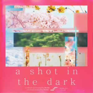 Album A Shot in The Dark from suteki