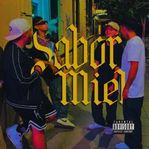收聽Richs DMZ的Sabor Miel (feat. J Cruz, Johary & Giner Mx) (Explicit)歌詞歌曲