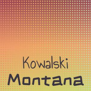 Various Artists的專輯Kowalski Montana