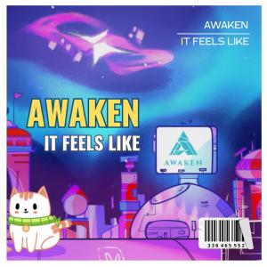 ดาวน์โหลดและฟังเพลง IT FEELS LIKE พร้อมเนื้อเพลงจาก AWAKEN