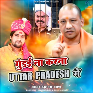 Album Gundai Na Karna Utter Prdesh Me from Ravi Bhatt Deva