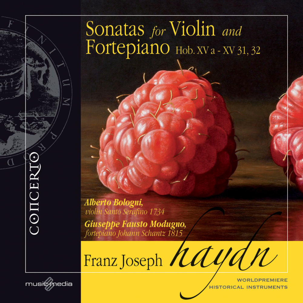 Violin Sonata in G Major, Hob.XV: 32: II. Allegro