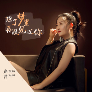 ดาวน์โหลดและฟังเพลง 除了梦里再没见过你 (DJ版伴奏) พร้อมเนื้อเพลงจาก 赵洋