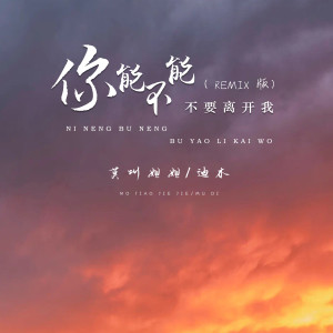 Listen to 你能不能不要离开我 (Remix版) song with lyrics from 莫叫姐姐