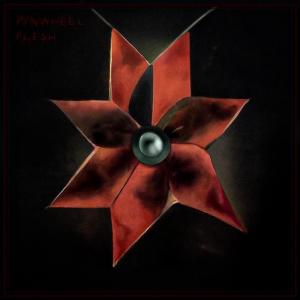 Album Flesh (Explicit) from Pinwheel