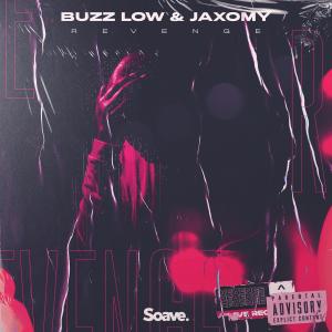 Album Revenge from Buzz Low