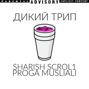 Album Дикий трип from sharish